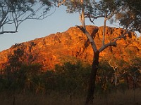 MK TLCCV Savannah Trip-102